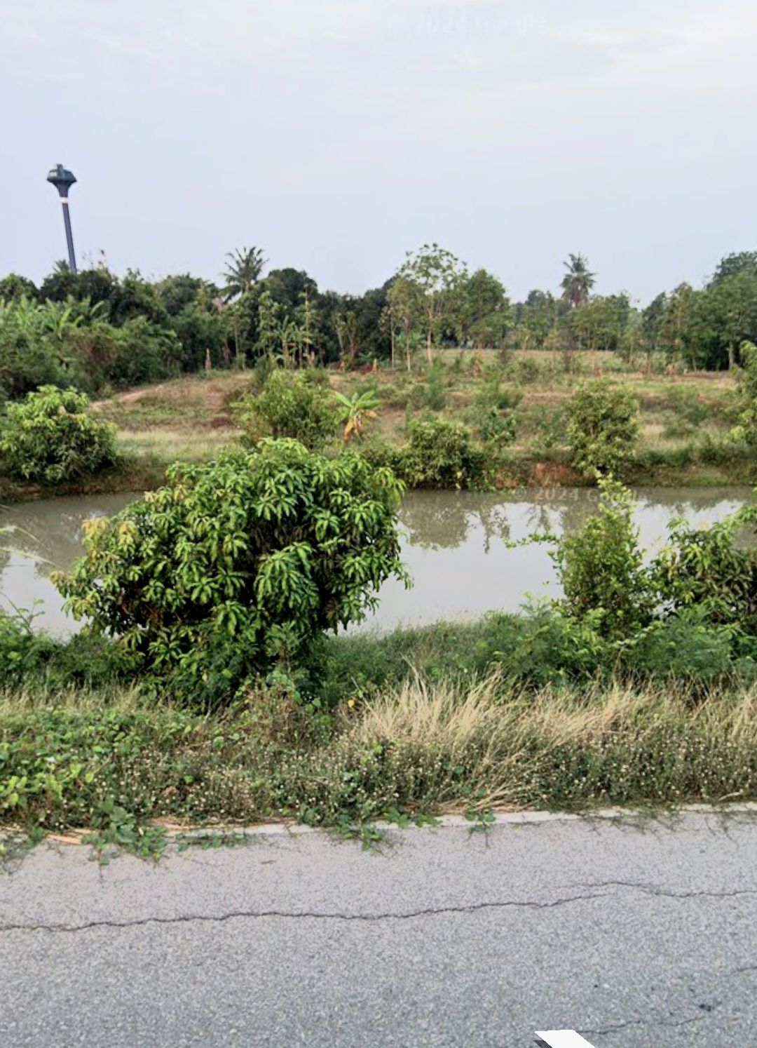 🎯 โอกาสทองของคนอยากมีที่ดิน! แปลงเล็ก ผ่อนสบาย ใกล้กำแพงแสน 🌿 ไม่ต้องกู้ธนาคาร ❌ ผ่อนตรงกับเจ้าของได้เลย ✅ ที่ดินสวย ทำเลดี ราคาหลักแสนต้นๆ หาแบบนี้ยากมาก!