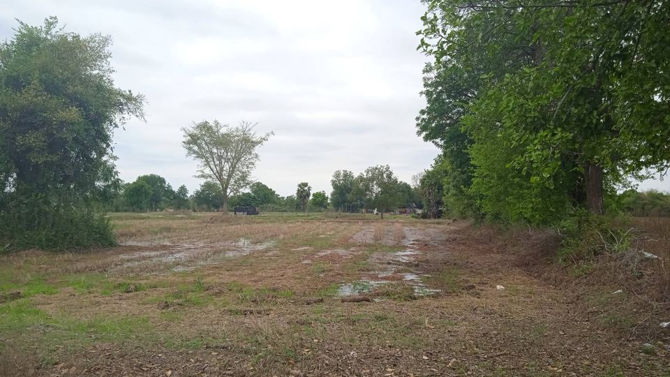 ที่ดินเปล่าทำเลสวย 2 ไร่  บ้านไผ่ ขอนแก่น 