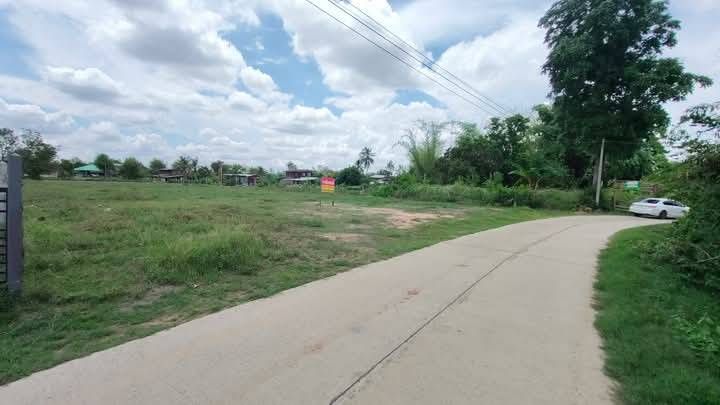 ขายที่ดินสุรินทร์ อำเภอเมือง ขายด่วน