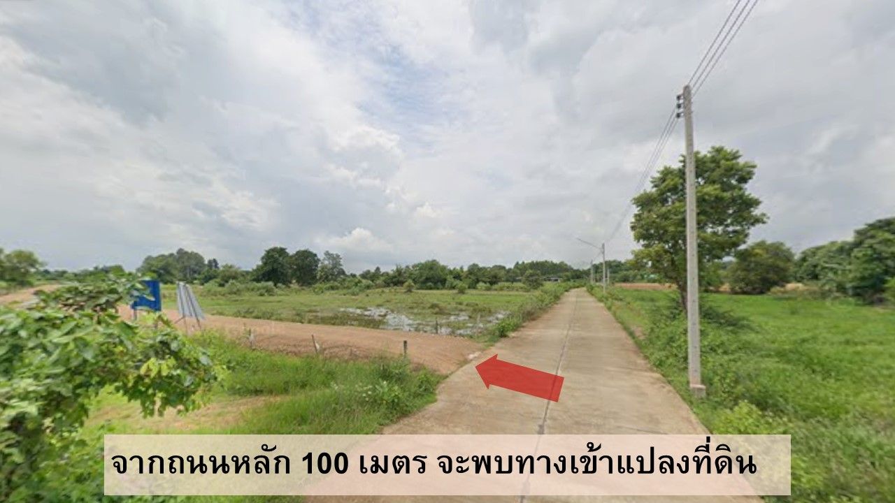 ขายที่ดินเปล่า อ.พนัสนิคม จ.ชลบุรี 1 ไร่ 65 ตร.ว.
