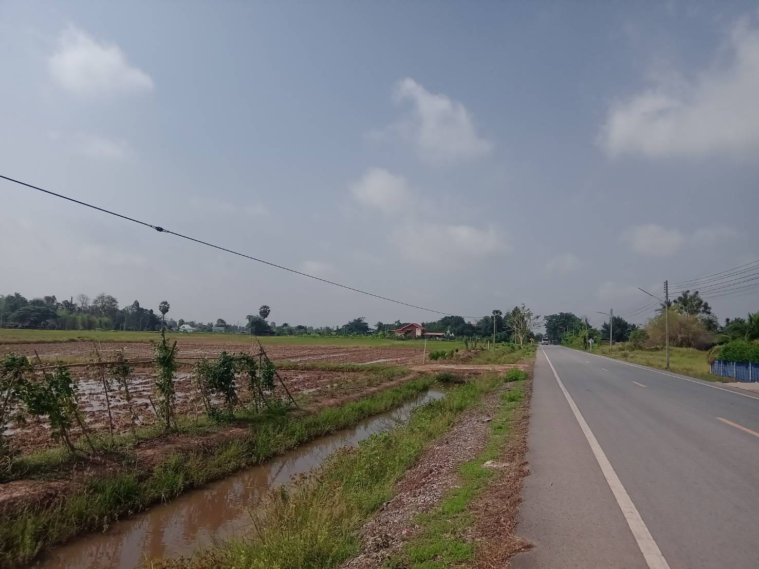 ✅ ขายที่ดินเปล่า ติดวัดสระเก้าห้อง สระโคล่ หัวรอ