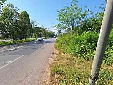 ขายที่ดิน สวนผลไม้ ชุมพร 15-147 ไร่