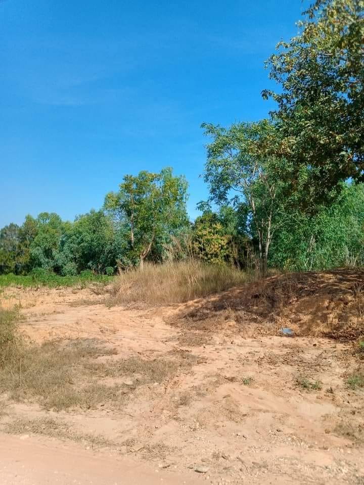 ขายที่ดินเปล่า ชัยภูมิ 32 ไร่