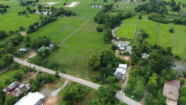 ที่ดินบ้านหนองโสมง เมืองชัยภูมิ ติดถนนลาดยาง 6-3-16