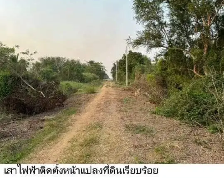 ขายที่ดิน อ ไทรน้อย ความเจริญรายรอบ อากาศดี