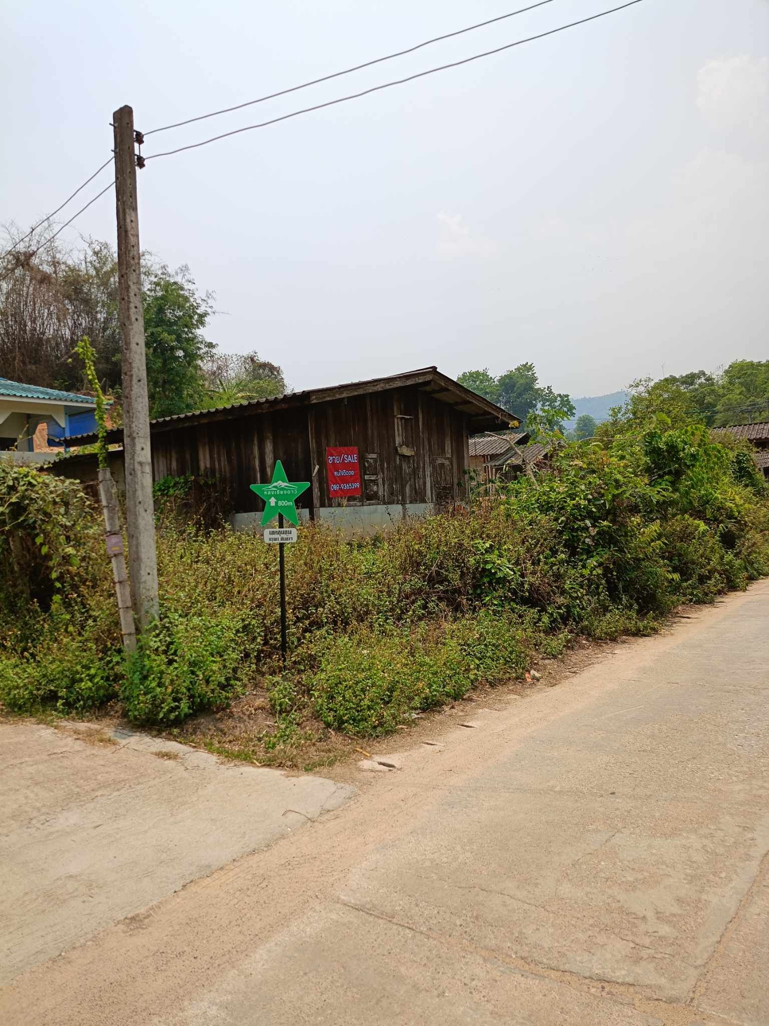 ขายที่ดินถมสูงมีบ้านตำบลแม่นะ เชียงดาว เชียงใหม่ 96 ตร.ว