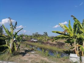 ที่ดินเปล่า หางดง เชียงใหม่ 3-3-18 แถมที่ให้อีก40.3 ตร.ว