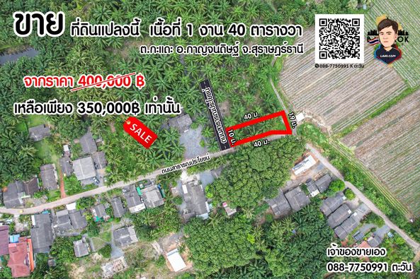 ที่ดินเปล่า เนื้อที่ 1 งาน 40 ตารางวา สุราษฎร์ธานี 