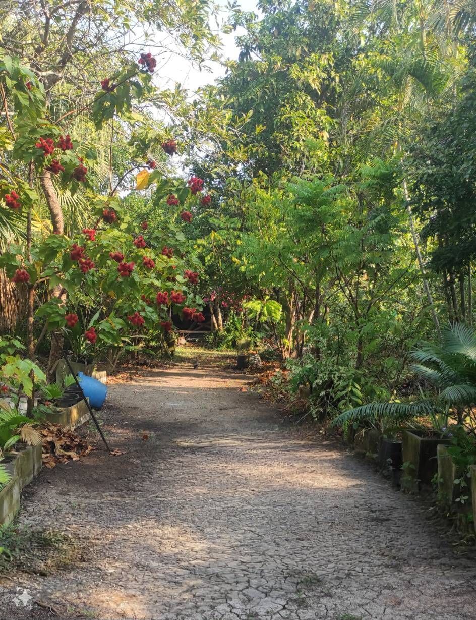 ขายที่ดินติดชายคลอง เป็นที่สวนถมแล้ว เหมาะกับการปลูกบ้าน ทำสวนเกษตร 