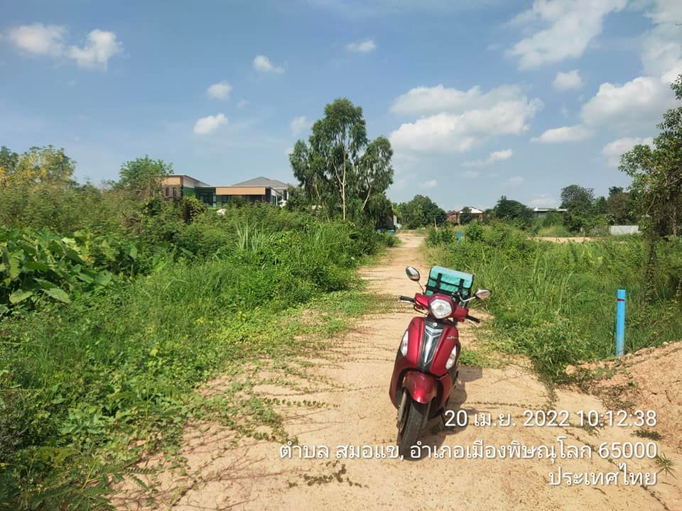 ที่ดินเปล่า อ.เมือง พิษณุโลก 50.5 ตรว.