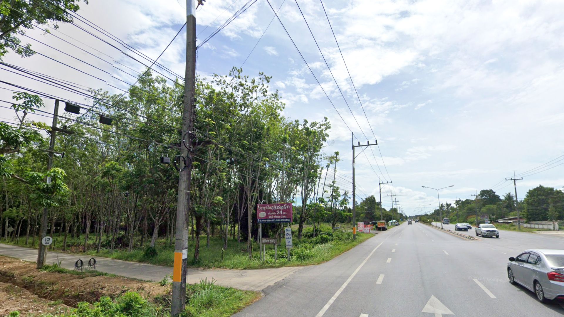 ขายถูก 5 ล้าน 9 แสน บาท ที่สวนยางติดถนนใหญ่ ระหว่างทางพัทลุง-ตรัง