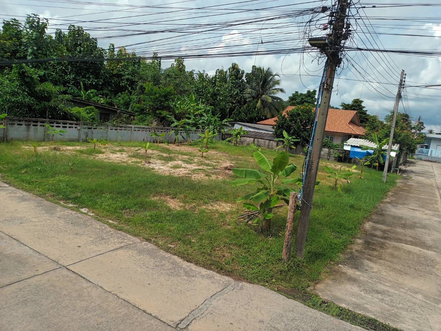 ขายที่ดินเชียงราย อำเภอพาน ที่ดินแปลงสวย ทำเลงาม เหมาะปลูกบ้านมาก