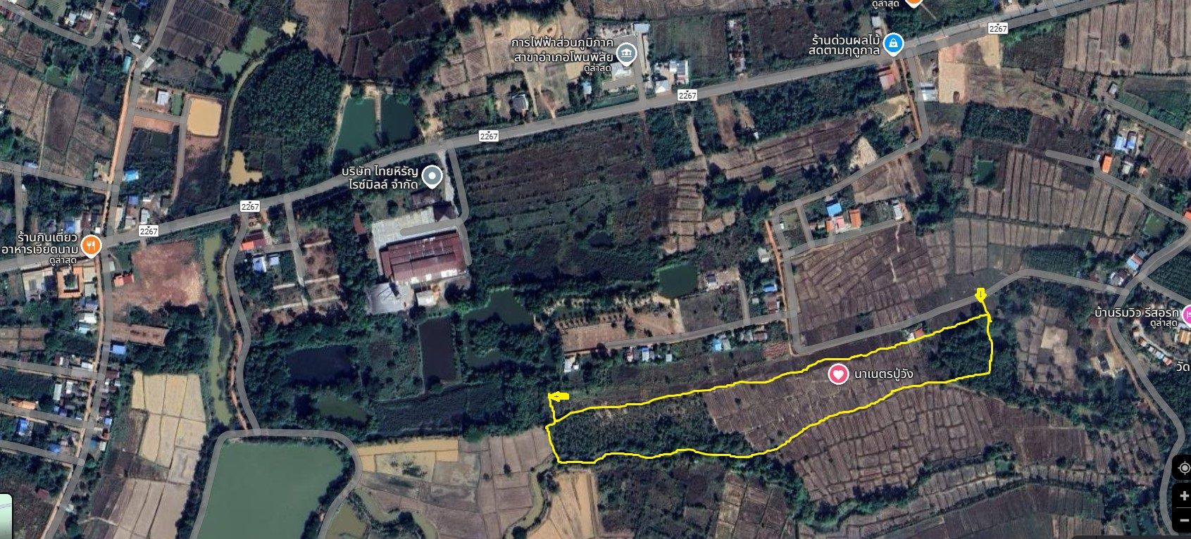 ขายที่ดินหนองคาย อำเภอโพนพิสัย ที่นาสวยมีทางออกติดอำเภอโพนพิสัยหนองคาย