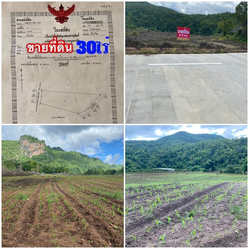 ที่ดิน อ.ไชยปราการ 30-1-54ตรว.