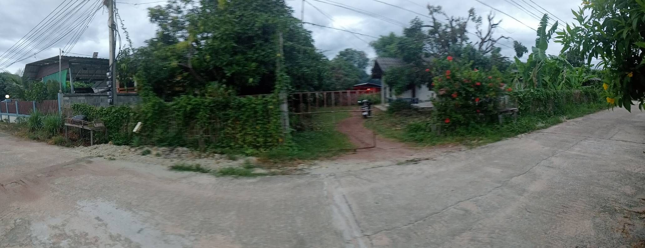 ขายบ้านพร้อมที่ดิน ลำพูน