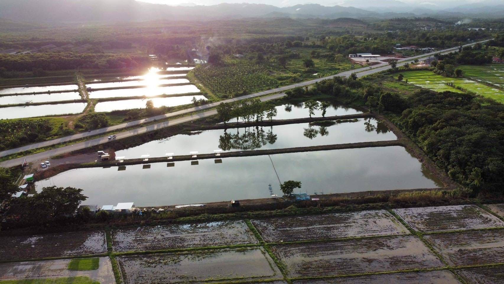 ขายที่ดินเชียงราย อำเภอเมือง ทำเลสวย อยู่ข้างโครงการ one budget ติดบายพาสตะวันตก 24-2-15.6 ไร่.