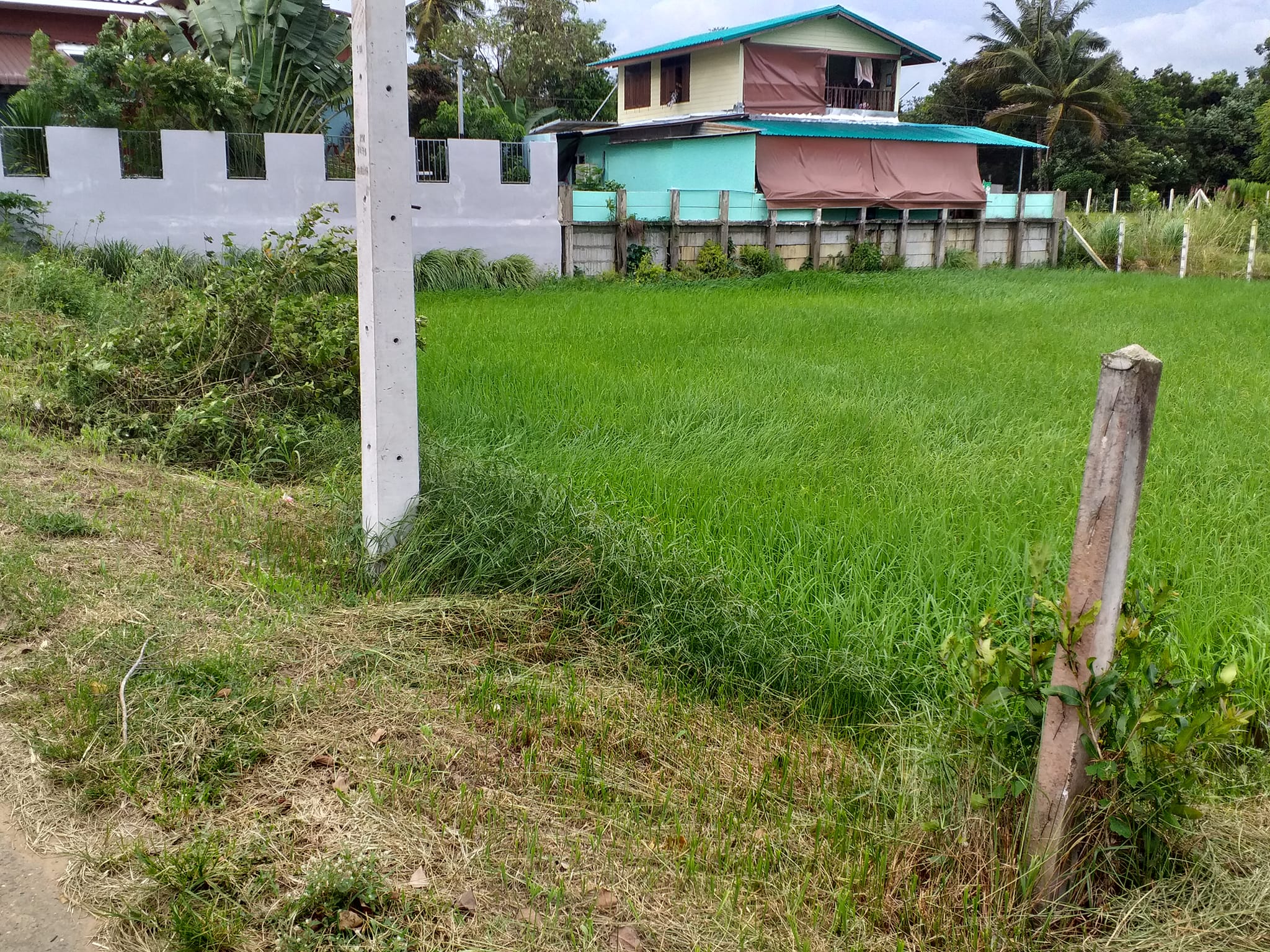 ขายที่ดินอุบลฯ เมืองอุบลฯ 0-1-86.4