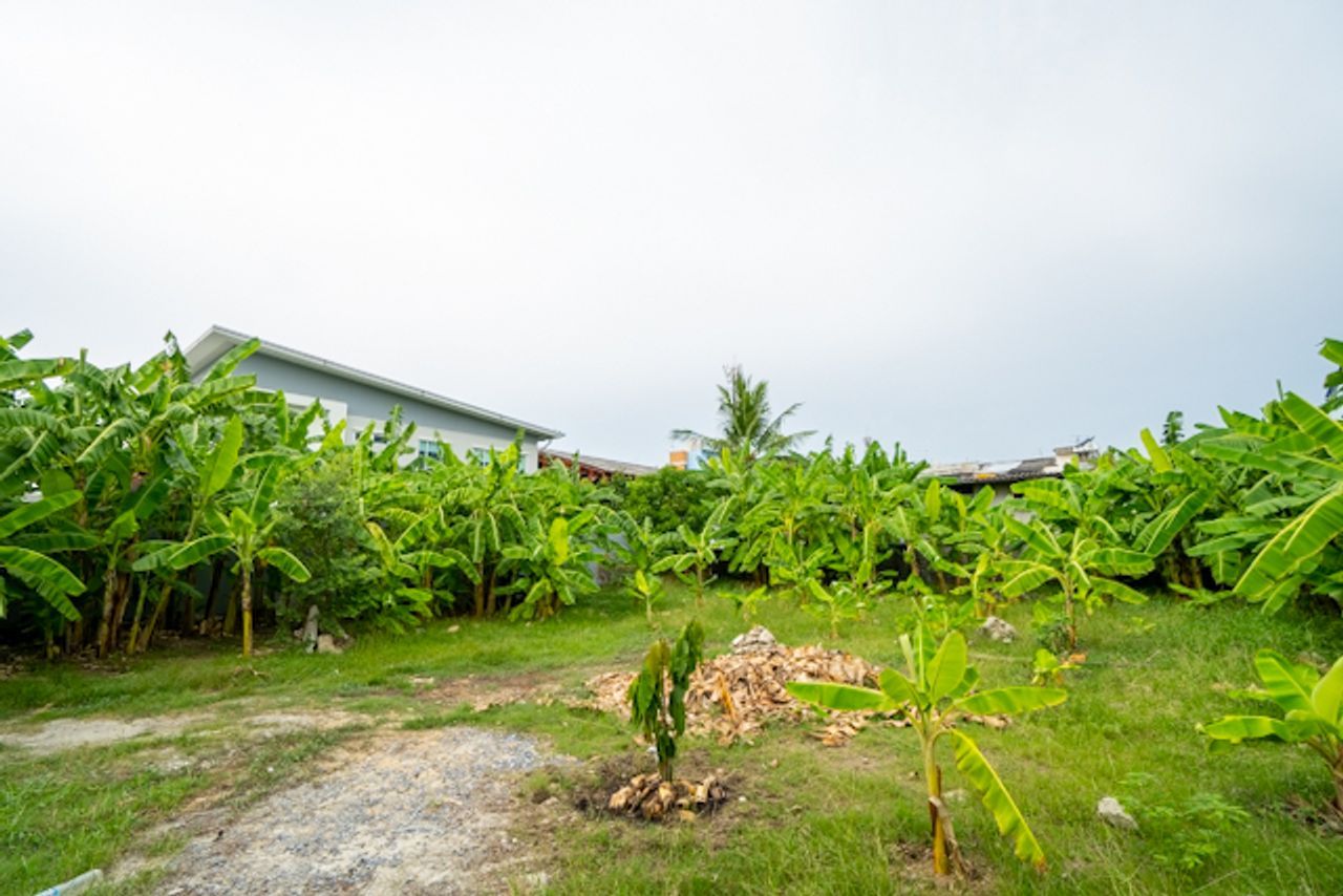 ขายที่ดินกรุงเทพฯ สุคนธสวัสดิ์ เข้าซอยเพียง 200 เมตร ถมแล้ว สภาพแวดล้อมดี เหมาะปลูกบ้าน