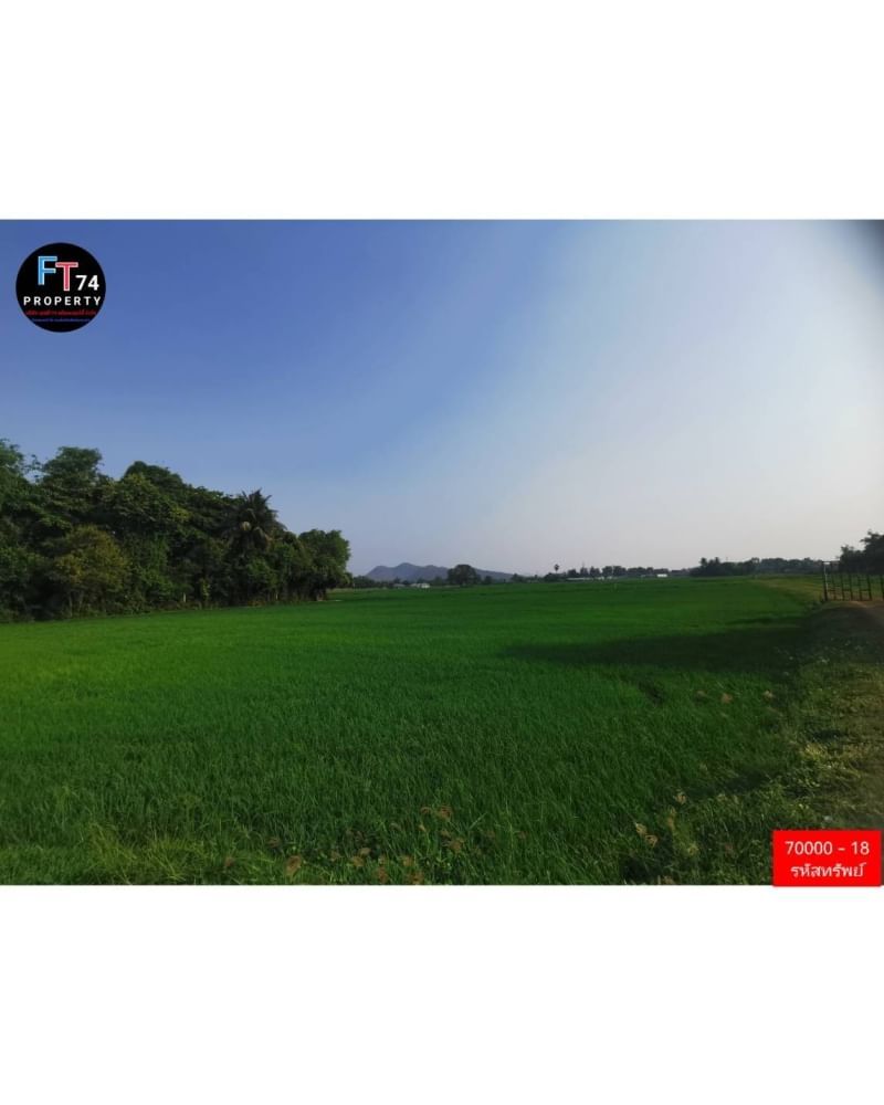 70000-18 ขายที่ดินแปลงสวย ท่ามกลางธรรมชาติ