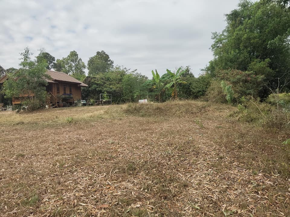 ขายที่ดิน บุรีรัมย์ 218 ตรว.