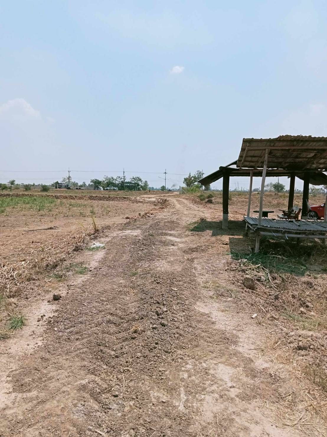 ขายที่นา มีน้ำ มีไฟฟ้า ถนนมีทางเข้า พิมาย นครราชสีมา