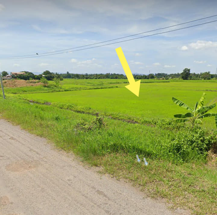ที่ดินแปลงนา เพชรบูรณ์ 2-2-91.9