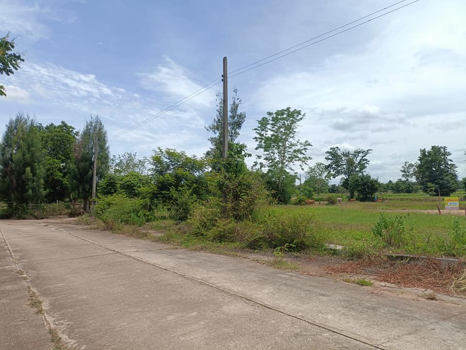 ที่ดิน บ้านท่อน ต.โนนท่อน อ.เมือง จ.ขอนแก่น 1 งาน