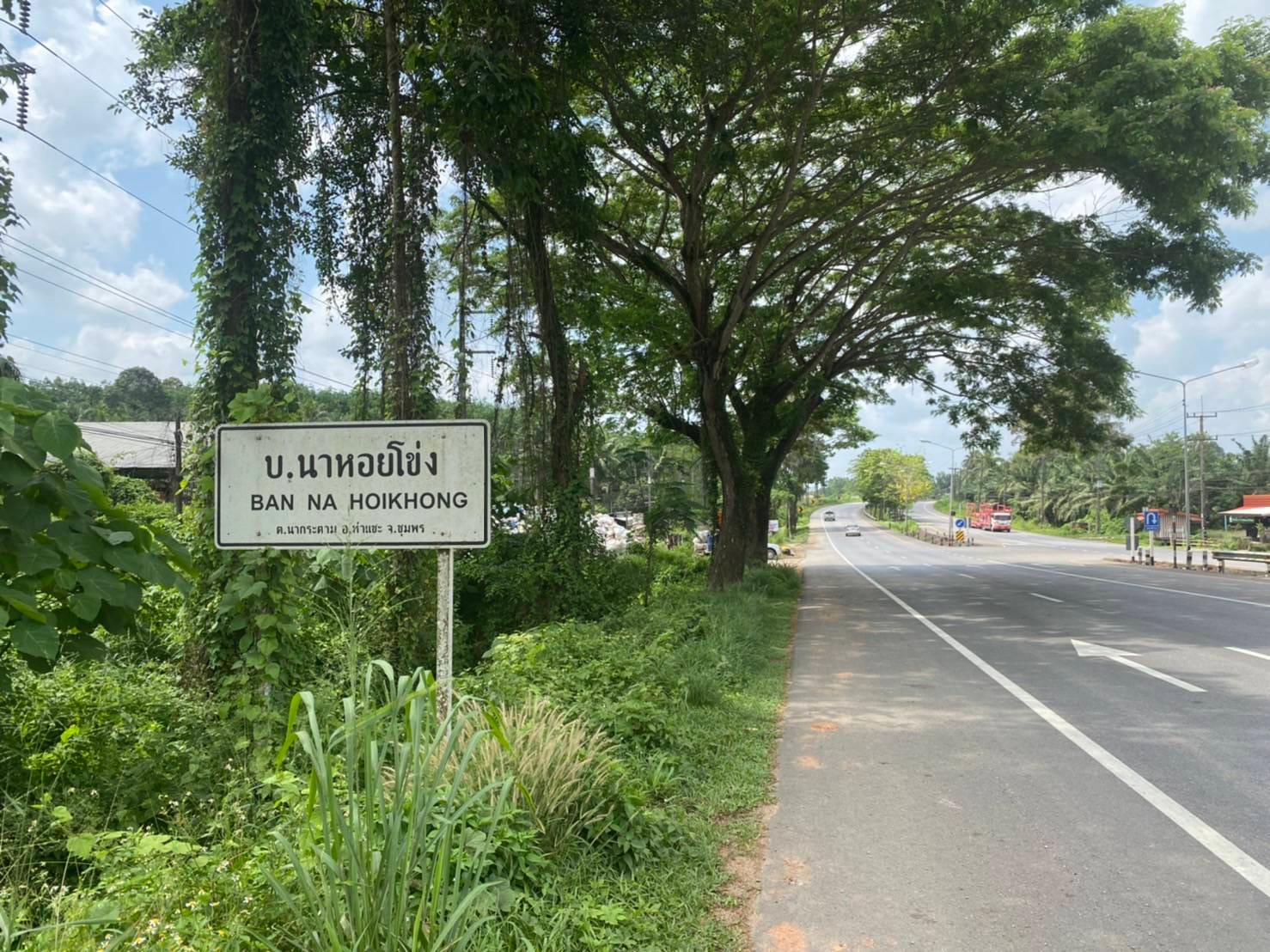 ที่ดินติดถนนเพชรเกษม ท่าแซะ ชุมพร 19-0-0