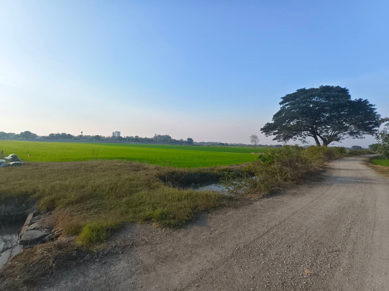 ขายที่ดินสุพรรณบุรี อำเภอเมือง เขตเทศบาลท่าระหัด