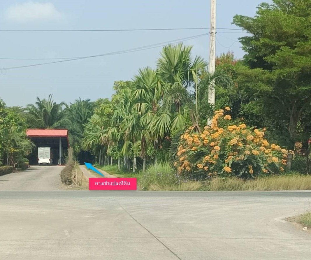 ขายที่ดินติดชายคลอง เป็นที่สวนถมแล้ว เหมาะกับการปลูกบ้าน ทำสวนเกษตร 