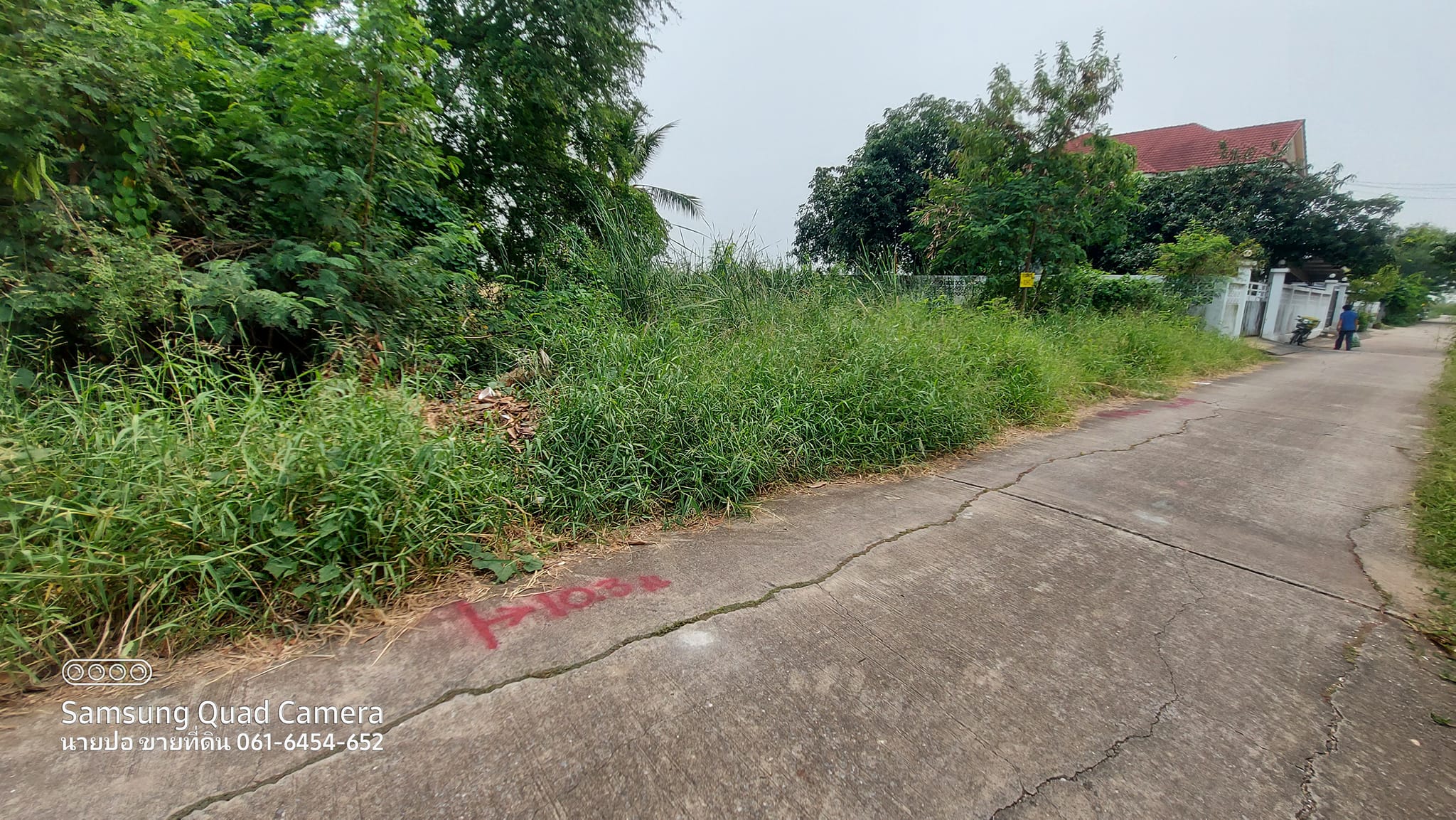 ที่ดินขนาด 45 ตรว. ต.บ้านใหม่ อ.บางใหญ่ จ.นนทบุรี 
