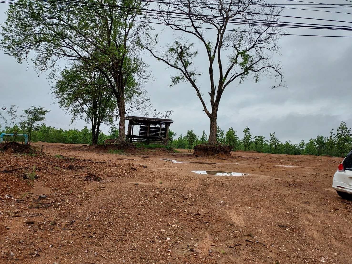 ที่ดินแปลงสวย​ ที่ราบกลางเนิน อุตรดิตถ์ 33-1-31