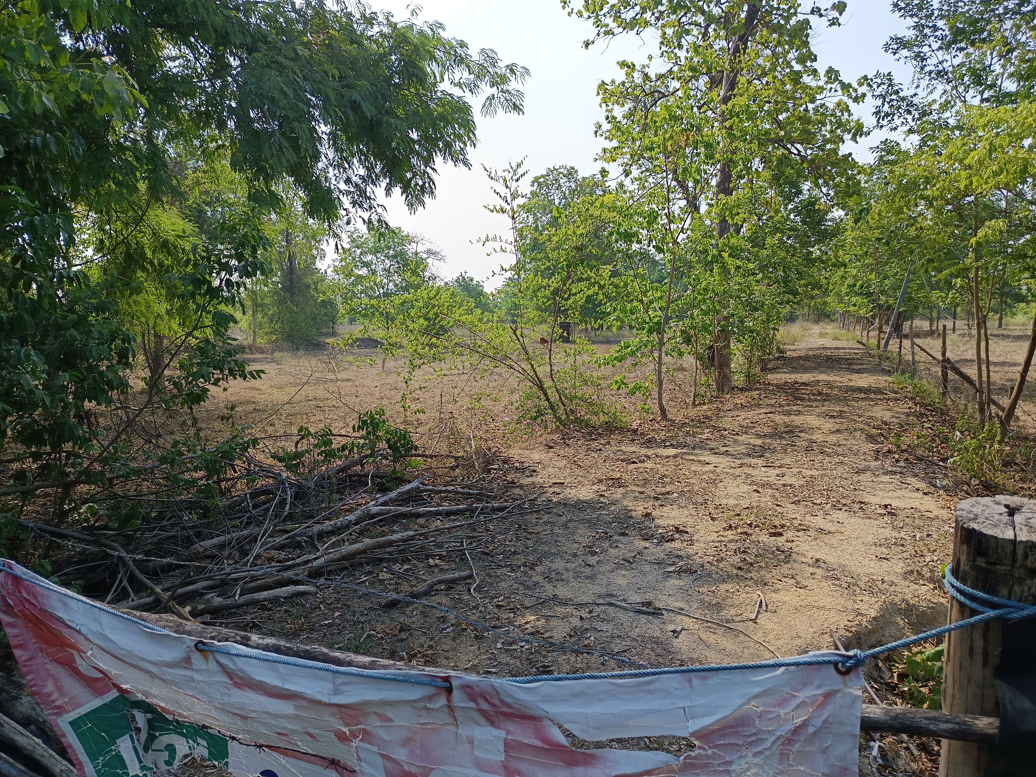 ขายที่ดินตาก เมืองตาก ที่ดินเปล่า โฉลดครุฑแดง