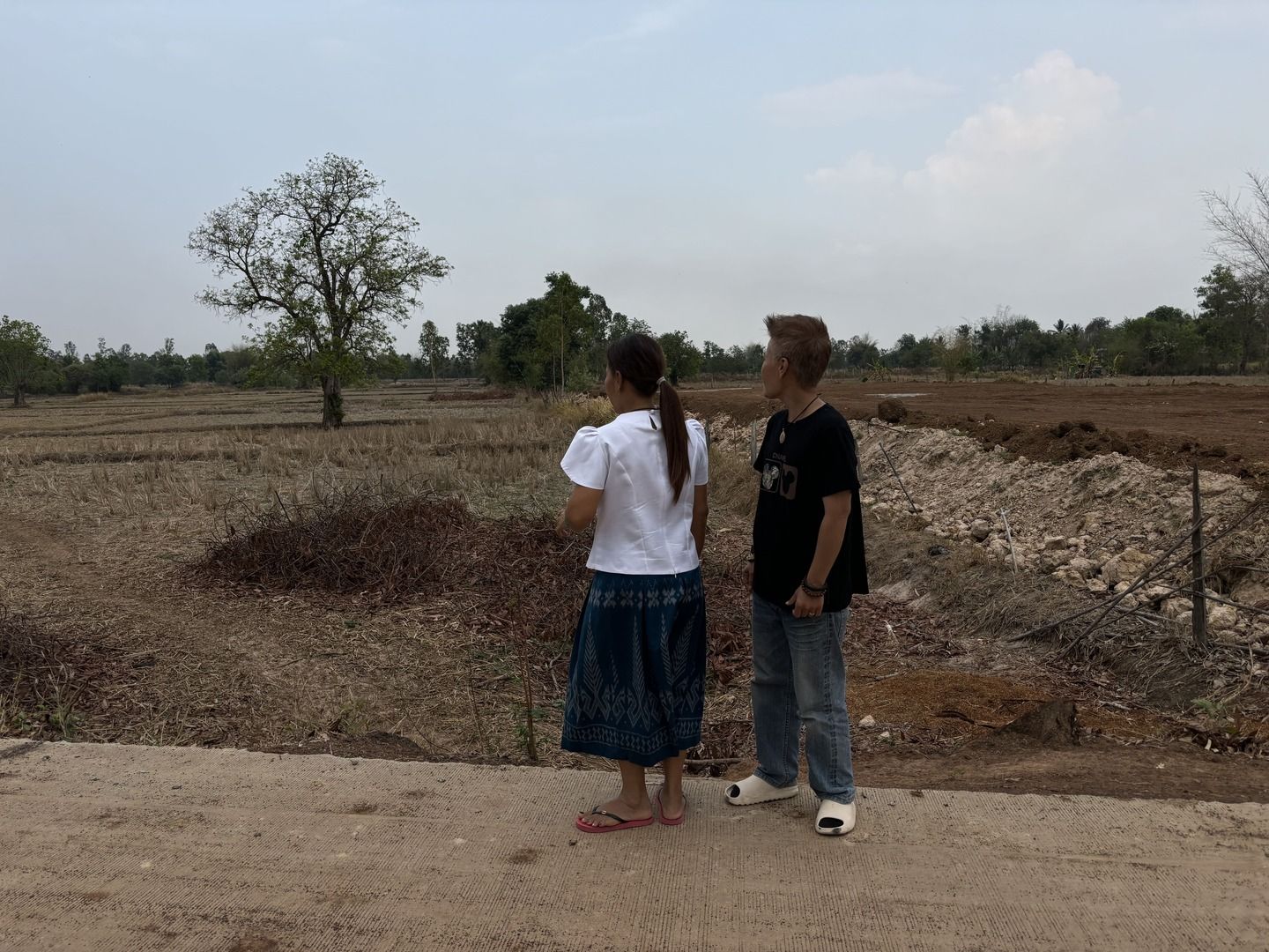 ขายที่ดินสกลนคร สว่างแดนดิน ที่ดิน 5 ไร่ ติดทางสาธารณะ