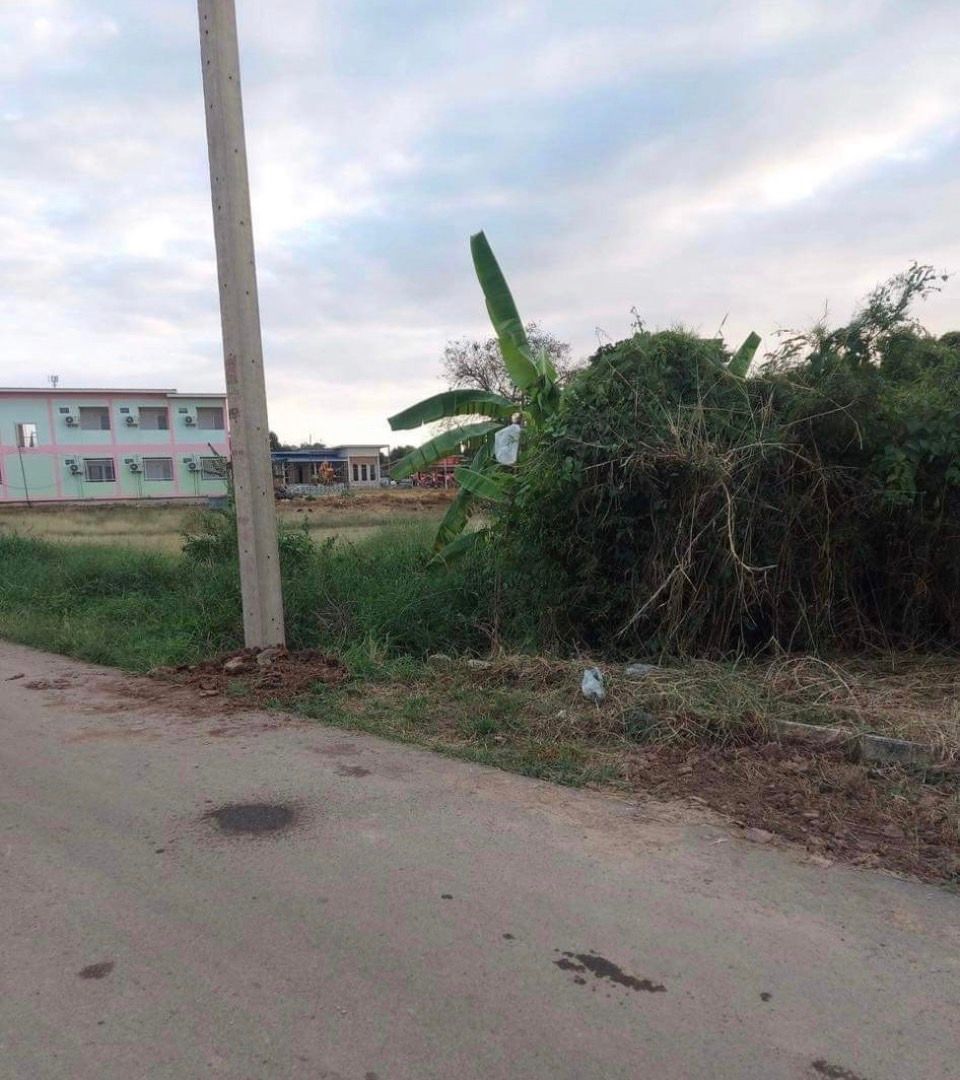 ขายที่ดินอ่างทอง แปลงสวย ใกล้วัดไชยสงคราม เมืองอ่างทอง 5-3-40