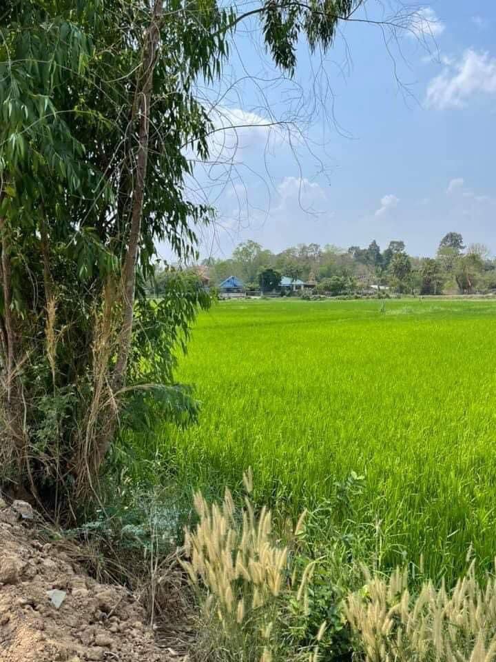 ที่ดินที่นา เมืองกาฬสินธุ์