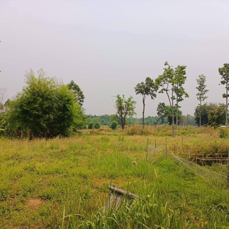ที่ดินอยู่ติดหมู่บ้าน เพ็ญ อุดรธานี 7-1-98 ไร่