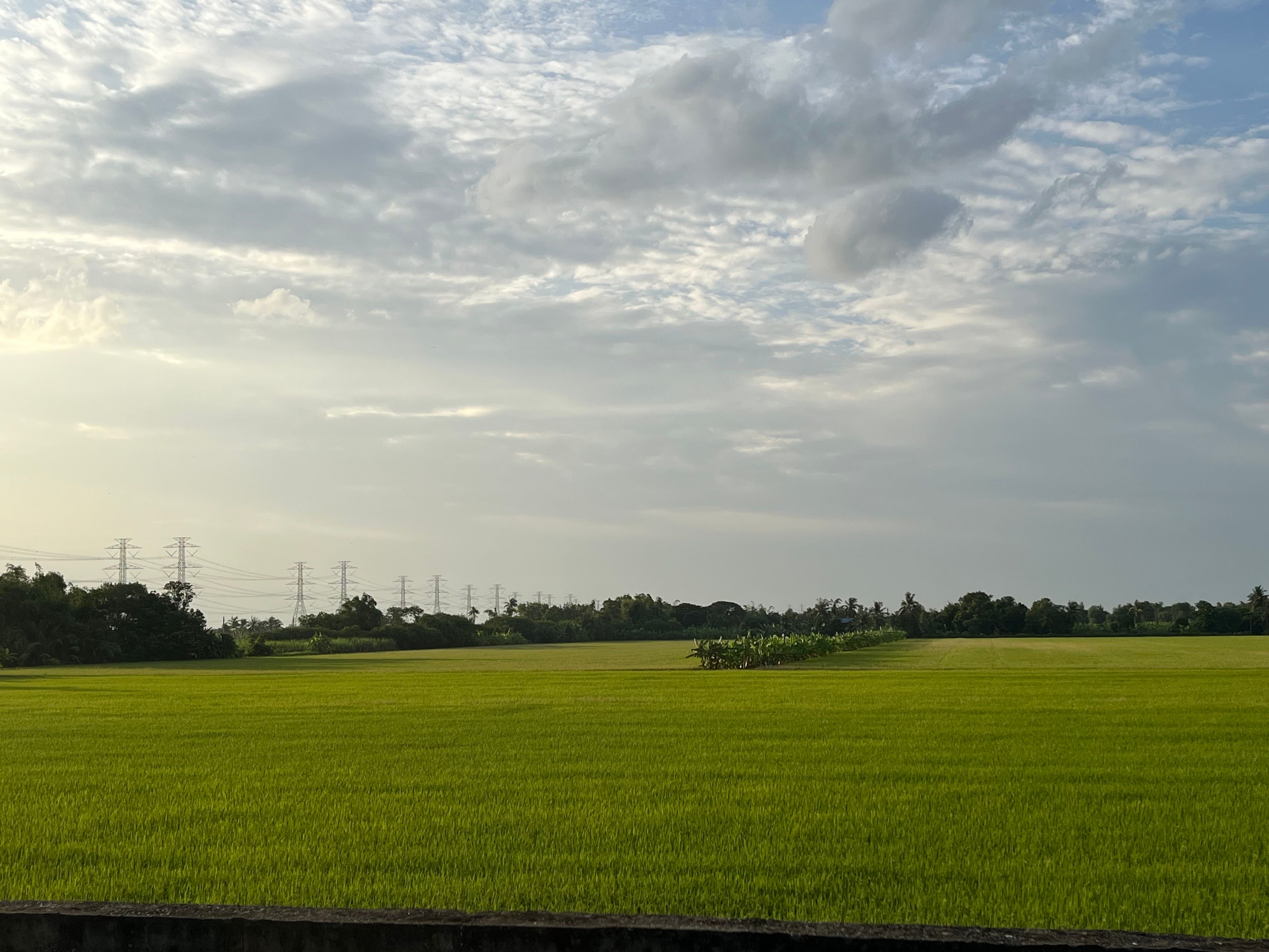 🌿 Land for sale in a fast-developing zone, by owner, title deed ready to transfer, no mortgage