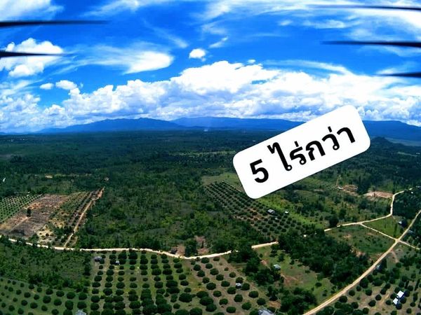 ทีดิน  เหมาะสร้างรีสอร์ท บ้านพักตากอากาศ ทำการเกษตร เชียงใหม่ 5-2-83