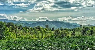 ที่ิดินวิวทิวเขา ด่านช้าง สุพรรณบุรี 6-3-0