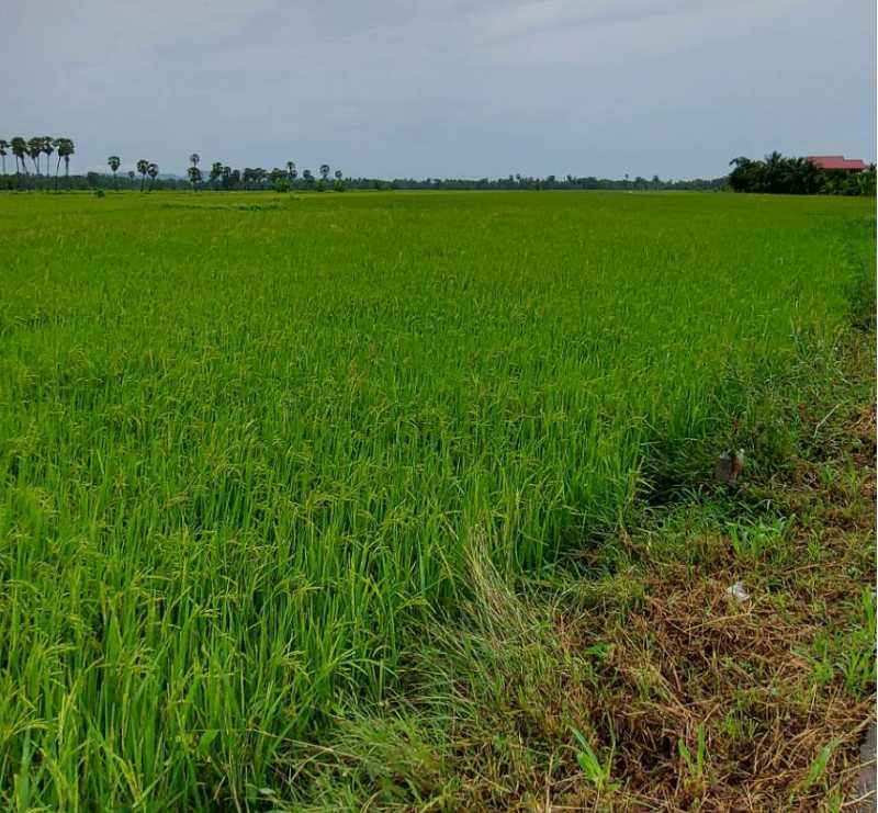 ที่ดินวิวเขา บ้านลาด เพชรบุรี 4-2-4