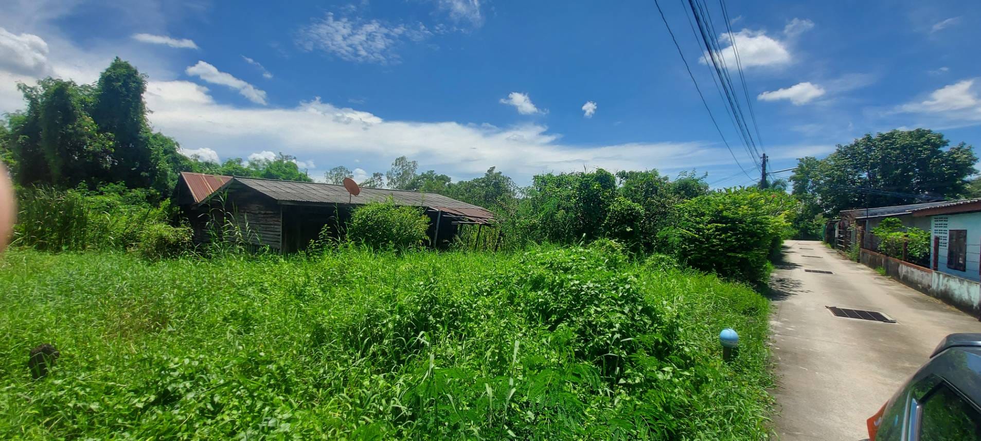 ขายที่ดินชลบุรี พานทอง 1-3-56