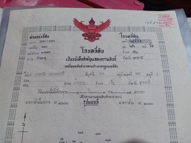 ขายที่ดินเปล่า เพ็ญ อุดรฯ 4-3-35
