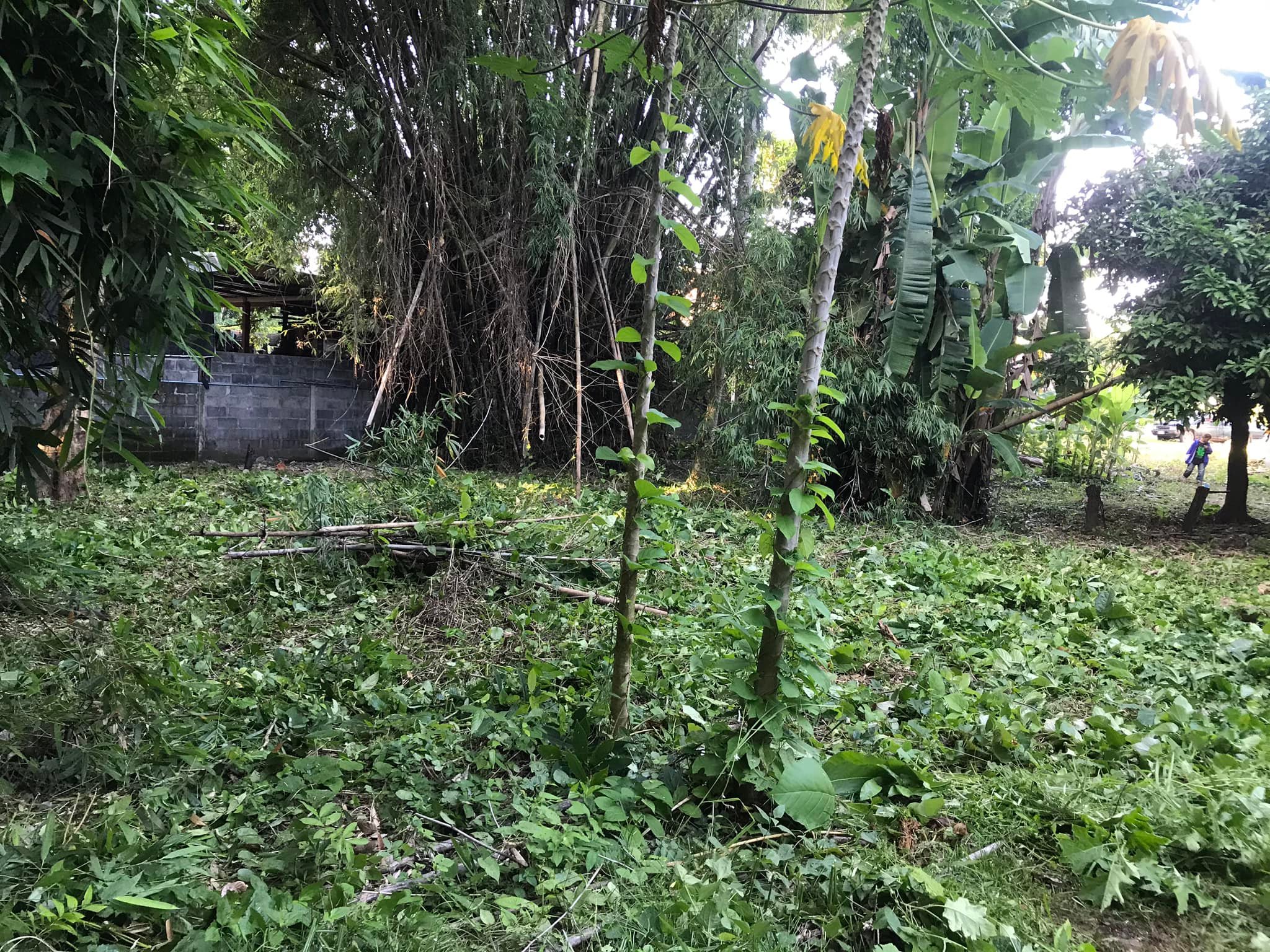 ขายบ้านพร้อมที่ดิน เมืองมุกดาหาร 0-2-80.7