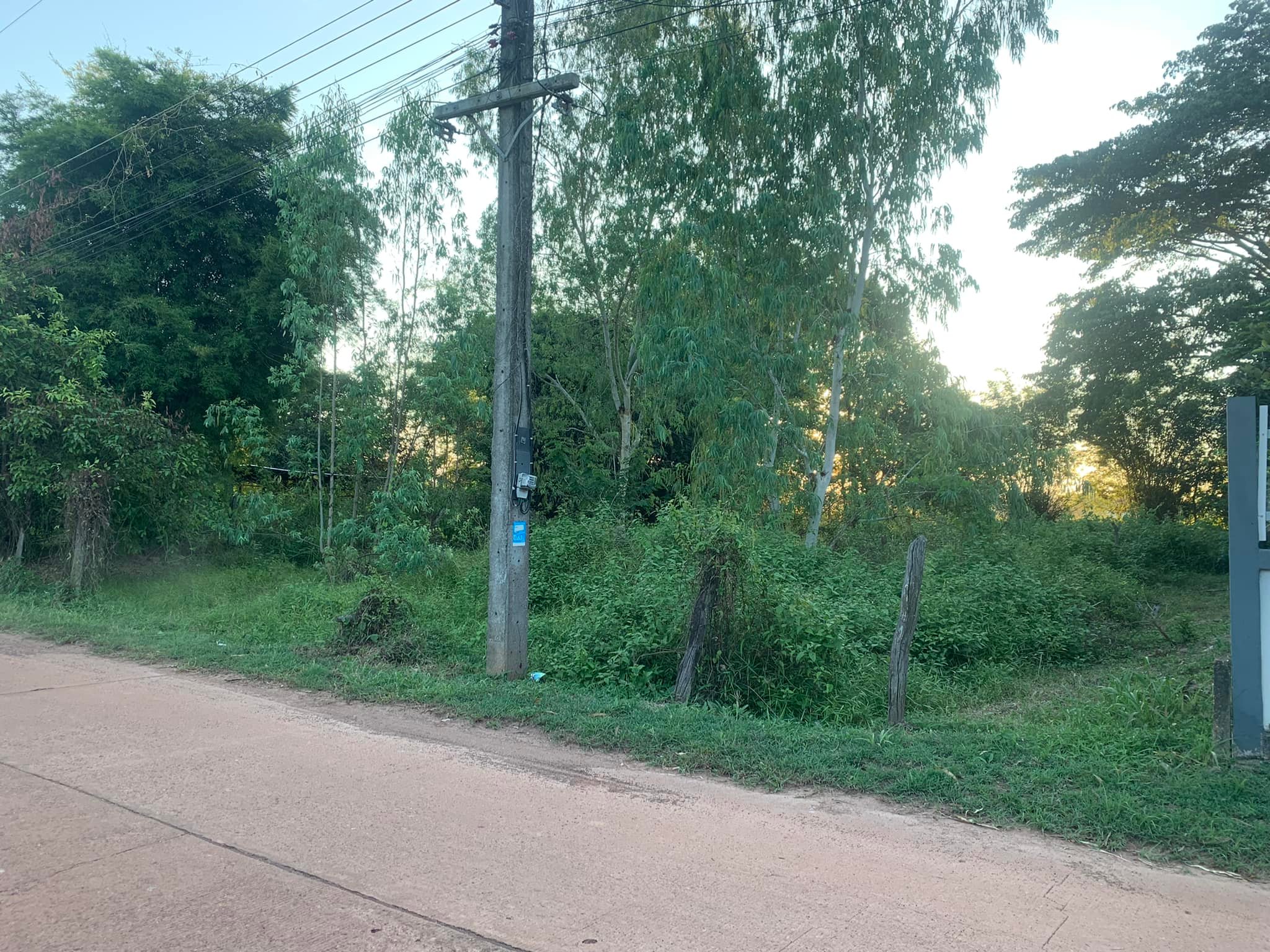 ขายที่ดินสกลนคร 0-0-91.1