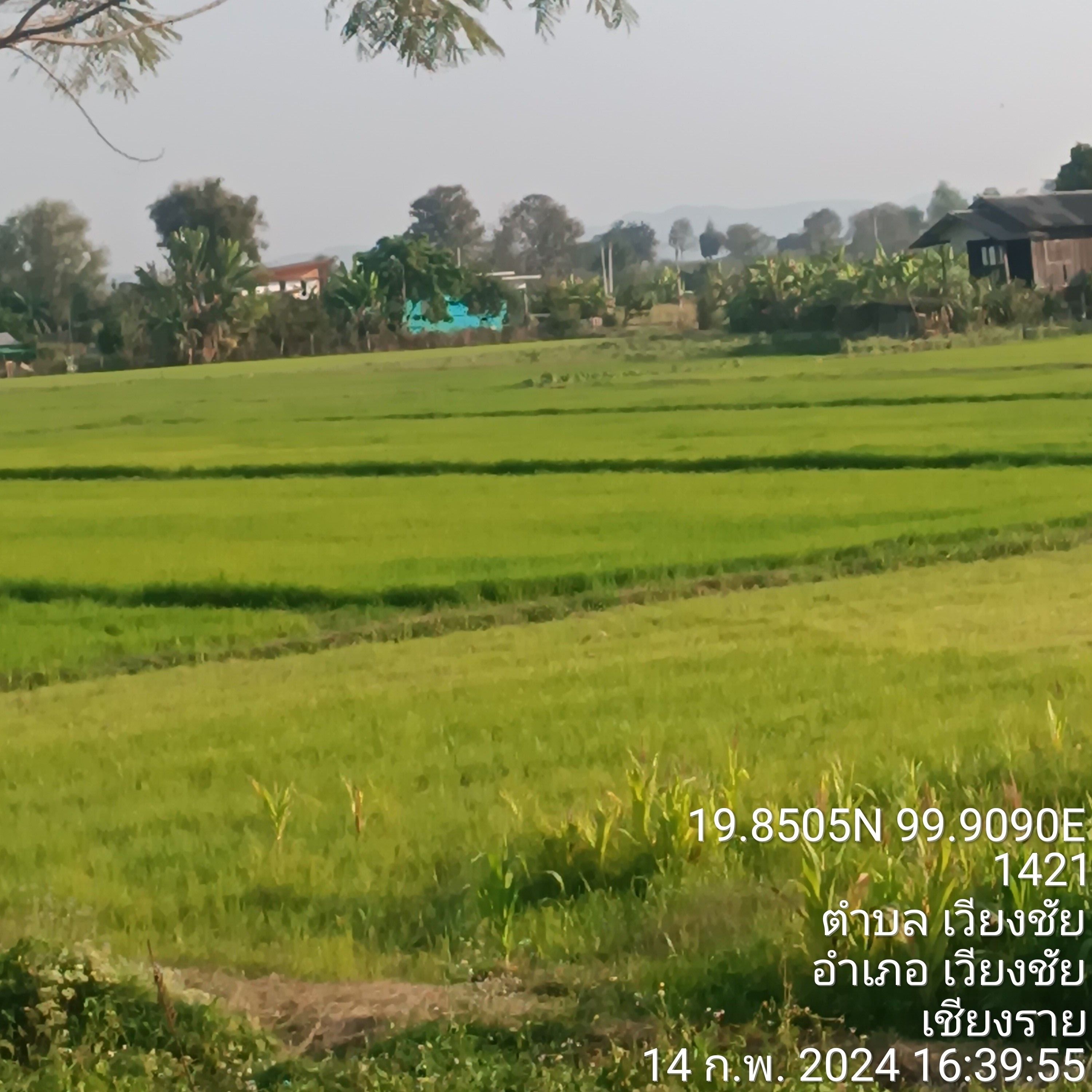 ขายที่ดินติดสนามกอล์ฟสันติบุรีติดถนน 4 เลนอยู่ใกล้หนองหลวง