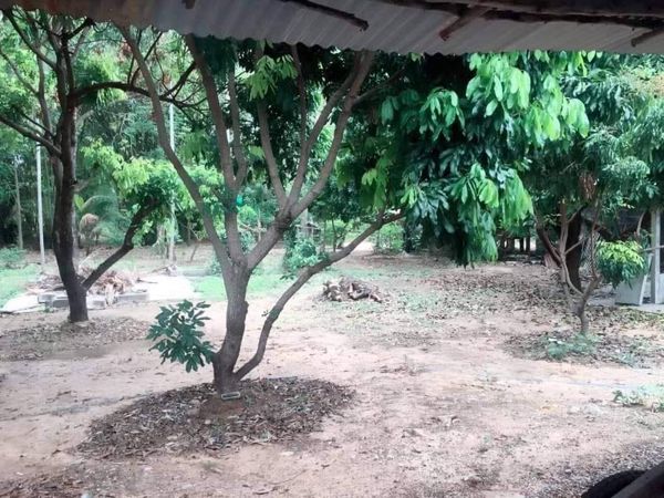 บ้านพร้อมที่ดินราคาถูกในตัวอำเภอธวัชบุรี ร้อยเอ็ด 1-0-39.6