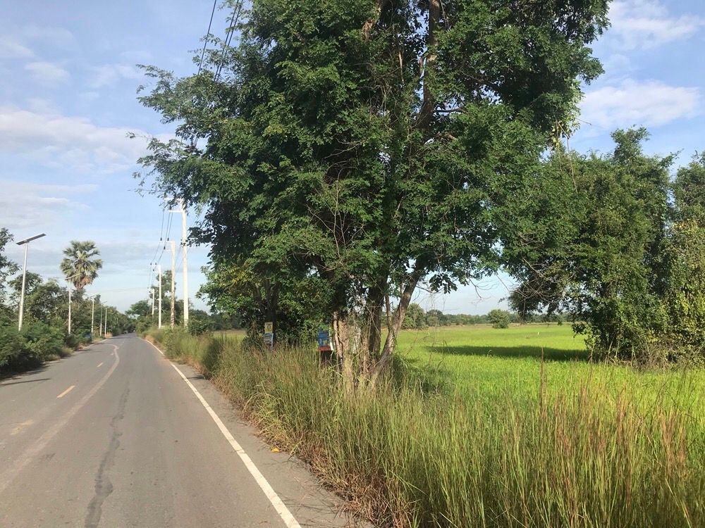 ขายที่ดินติดถนนดำทั้ง 2 ฝั่ง ใกล้ชุมชนและอยู่ใกล้ทางขึ้นและลงทางด่วนสายบางประอิน โคราช