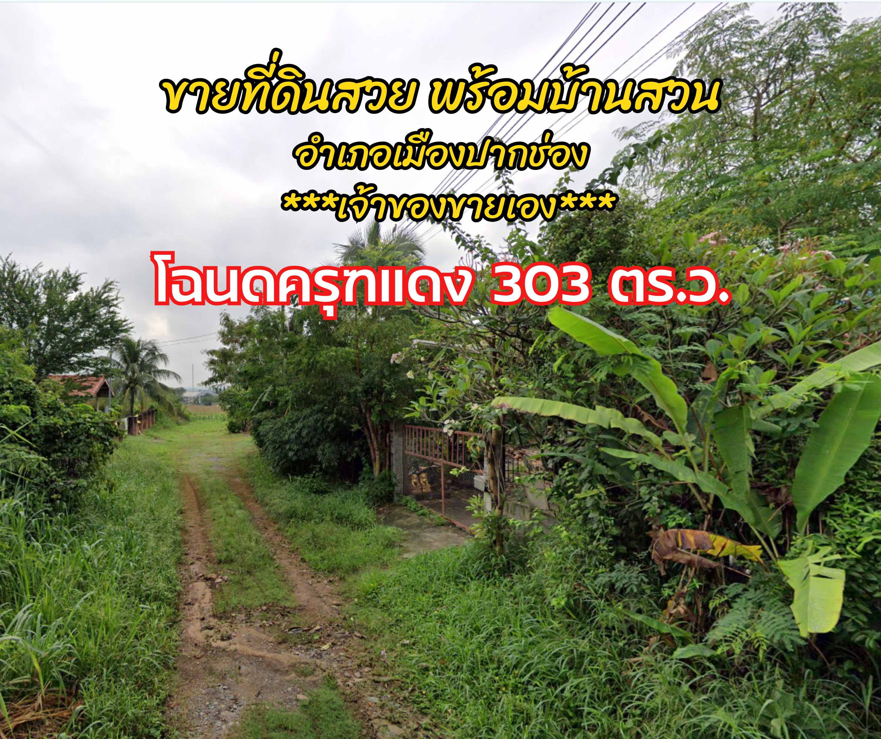 ขายที่ดินแปลงสวย พร้อมบ้านสวน ใน อ.ปากช่อง โฉนด ครุฑแดง 303 ตร.ว.