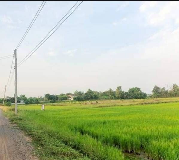 ขายที่ดินขอนแก่น อำเภอเมือง ที่ดินเปล่าแปลงสวย หน้ากว้าง ติดถนนสาธารณะ น่าลงทุนมาก 7-2-43.8 ไร่.